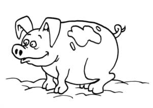 Desenho de Porco sujo para colorir