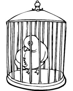 Desenho para colorir de Pássaro na gaiola