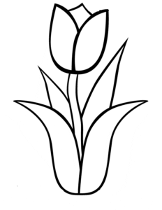 Desenho de Tulipa bonita para colorir