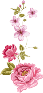 Flower PNG, Floral PNG
