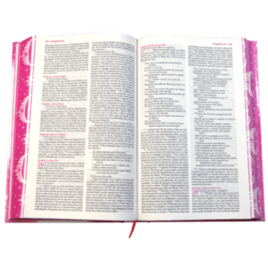 Bíblia PNG