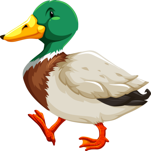 Ilustração Filhote Pato PNG com fundo transparente grátis