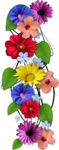 Flower PNG, Floral PNG