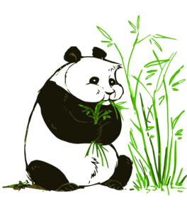 Panda PNG