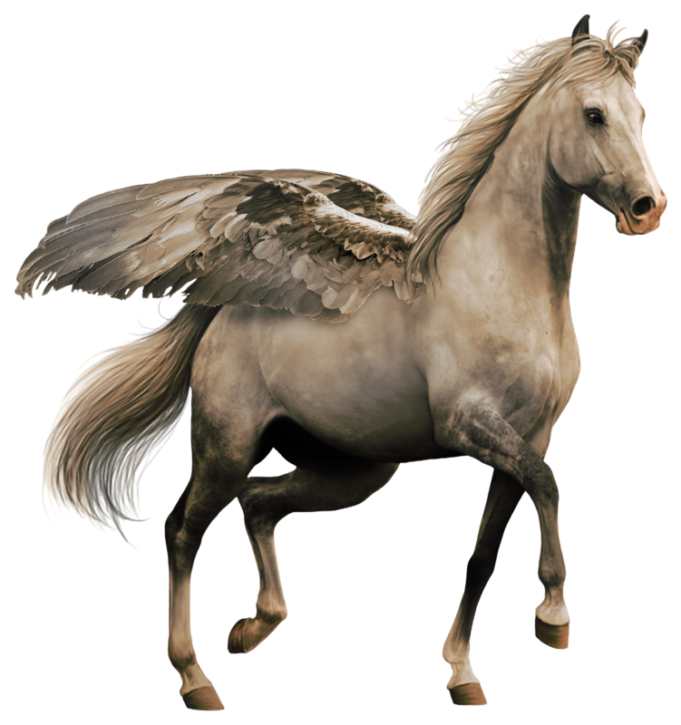Pegasus Cavalo Png 2061