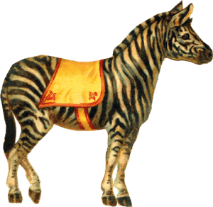 Zebra Circo PNG