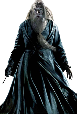 Foto de Alvo Percival Wulfrico Brian Dumbledore personagem de Harry Potter