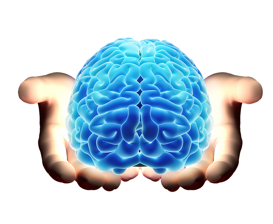 Neurologia Cérebro PNG - 75 imagens de cérebro em png transparente