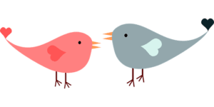 Amor Pássaros PNG