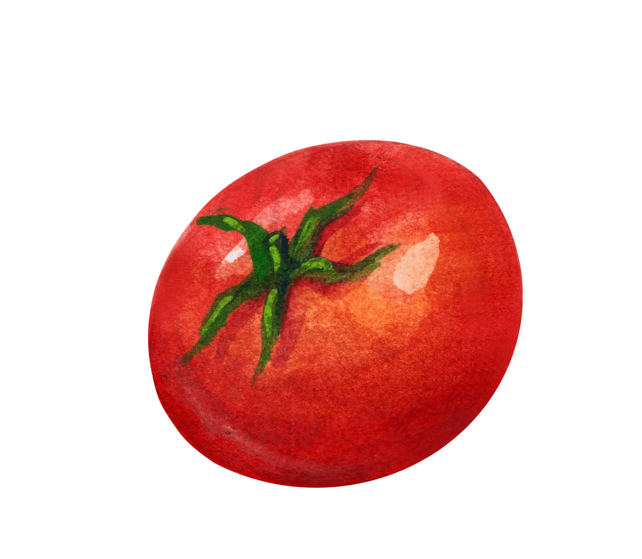 aquarela-tomate-png