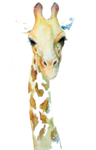 Girafa PNG