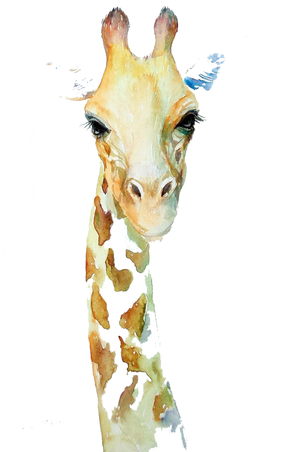 Cabeça da Girafa PNG com fundo transparente grátis