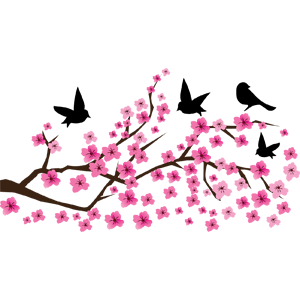 Decoração Pássaros PNG