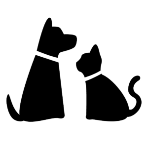 Cachorro e Gato PNG
