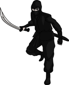 Ninja PNG