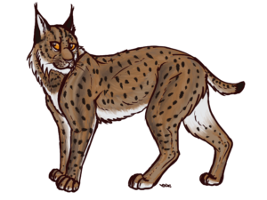Lince PNG