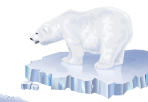 Urso Polar PNG