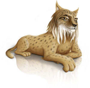 Lince PNG